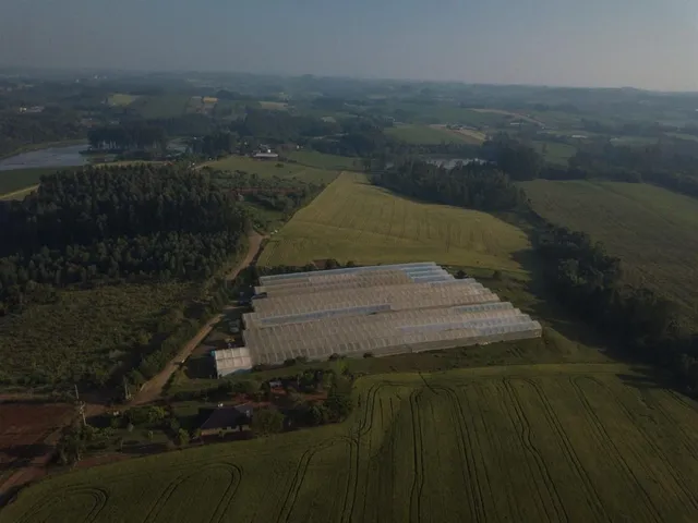 Área rural