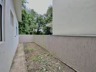 Vista lateral de um pátio com caminho de concreto e vegetação densa.