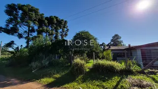 Área rural com 3 dormitórios, foto 8