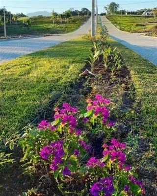 Terreno, foto 9