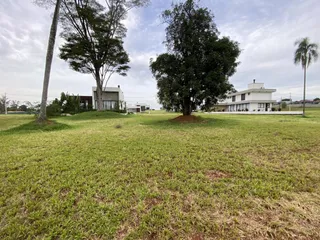 Terreno, foto 11