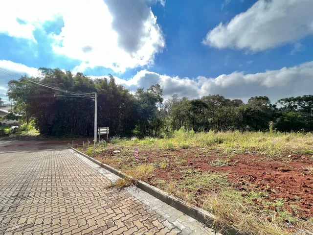 Terreno, foto 3