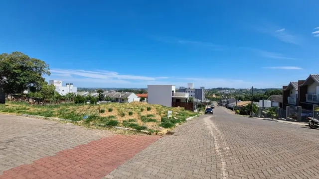 Vista externa de uma rua com área de terra e vegetação seca em Lajeado.
