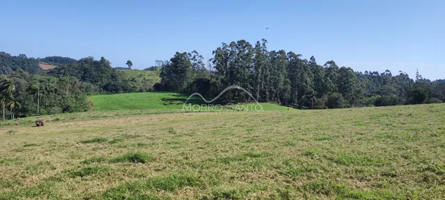 Vista de um campo aberto com vegetação rasteira sob um céu azul.