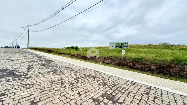 Vista da rua e área gramada de uma propriedade em Lajeado.
