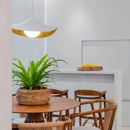 Uma mesa de madeira com plantas verdes é visível no ambiente.