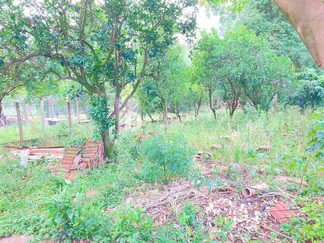 Terreno