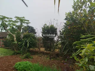Área rural com 3 dormitórios, foto 9