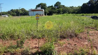 Terreno, foto 3