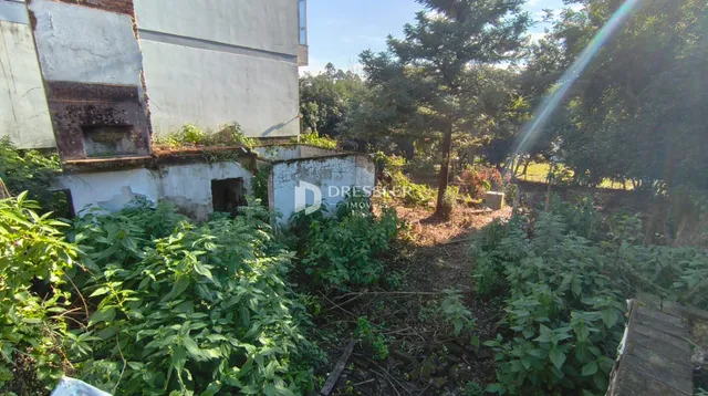 Terreno, foto 5