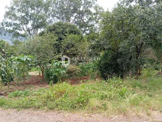Terreno, foto 6