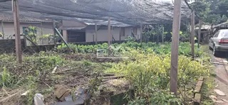 Terreno, foto 4