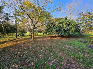 Área rural com 2 dormitórios, foto 17