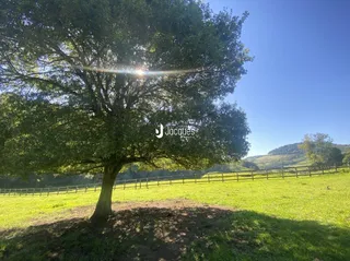 Paisagem de campo com uma grande árvore e cerca de madeira.