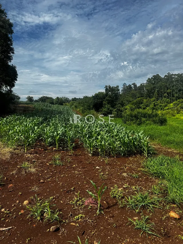 Área rural, foto 4