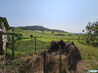 Área rural com 3 dormitórios, foto 4