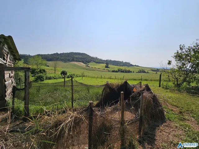 Área rural com 3 dormitórios, foto 4