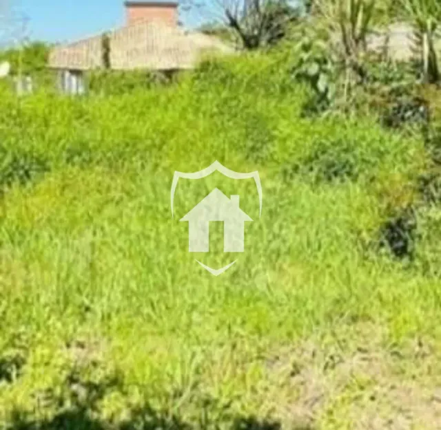 Terreno, foto 5