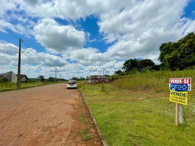 Vista da propriedade ao longo de uma estrada rural no Brasil.