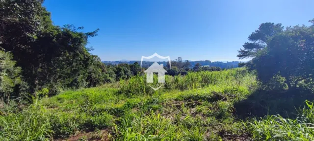 Área rural, foto 4