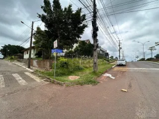 Terreno, foto 1