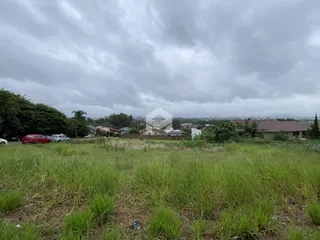 Vista externa de uma área com grama alta e casas ao fundo.