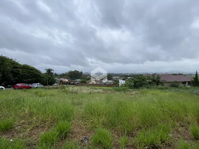 Vista externa de uma área com grama alta e casas ao fundo.