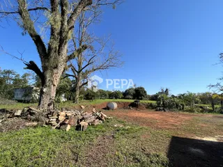 Terreno, foto 3