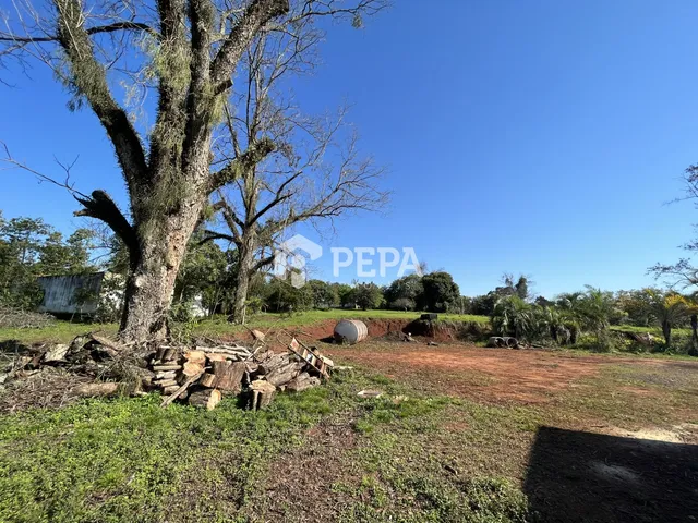 Terreno, foto 3
