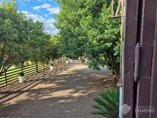 Área rural com 4 dormitórios, foto 25