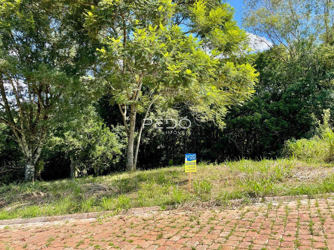 Terreno, foto 1