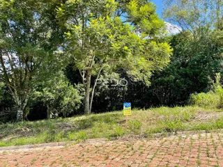 Vista externa de uma propriedade com vegetação densa e gramado na frente.