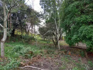 Área rural, foto 7