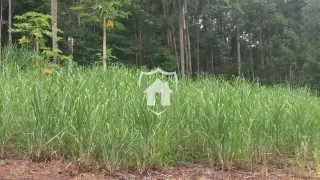 Área rural com 3 dormitórios, foto 11