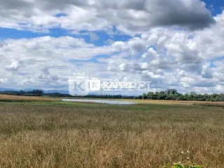 Vista de um campo de grama seca sob um céu nublado.