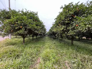 Área rural, foto 6