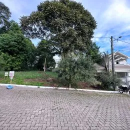 Terreno, foto 2