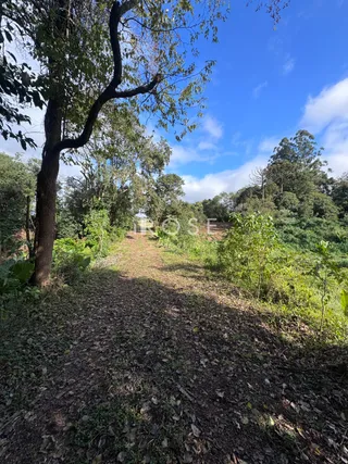 Área rural com 2 dormitórios, foto 16