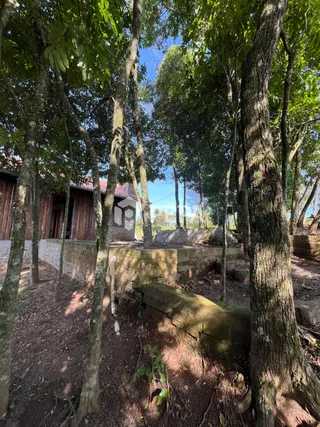 Área rural com 1 dormitório, foto 10