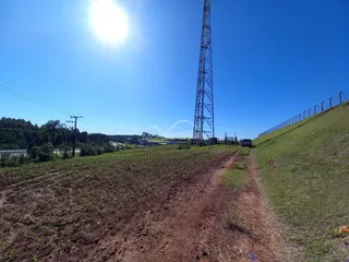 Vista de um campo aberto com um caminho de terra sob um céu azul claro.