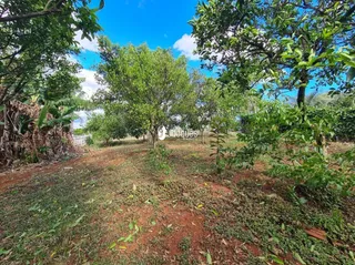 Casa com 3 dormitórios, foto 25