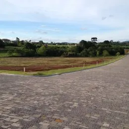 Terreno, foto 7