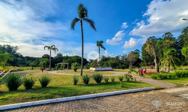 Vista externa de um terreno com gramado e palmeiras em Lajeado, Brasil.