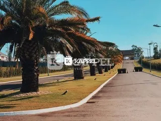 Vista da entrada da propriedade com palmeiras e paisagismo.
