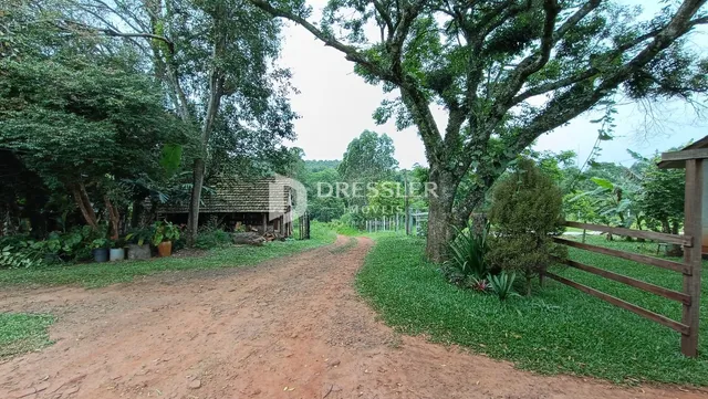 Área rural com 4 dormitórios, foto 2