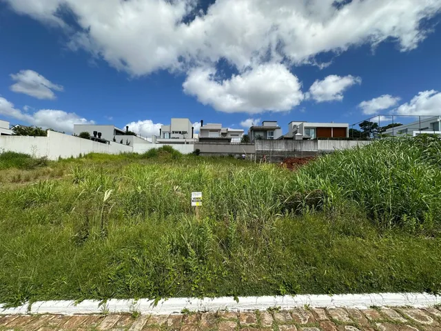 Vista de um terreno com vegetação alta e uma cerca branca.