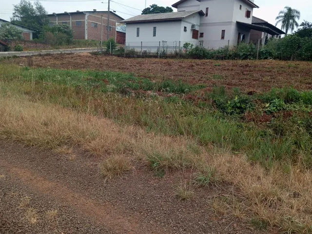 Terreno, foto 2