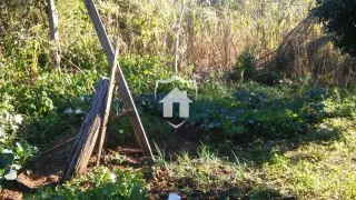 Área rural com 2 dormitórios, foto 7