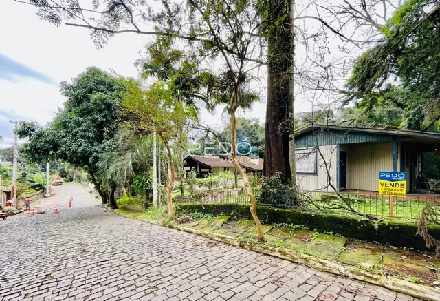 Terreno, foto 2
