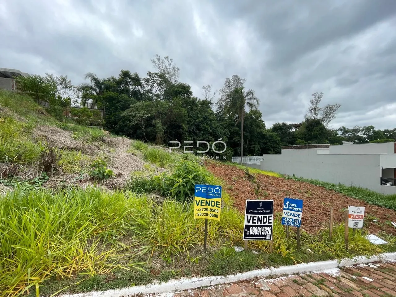 Paisagem de terreno com vegetação e placas de venda na área de Lajeado.